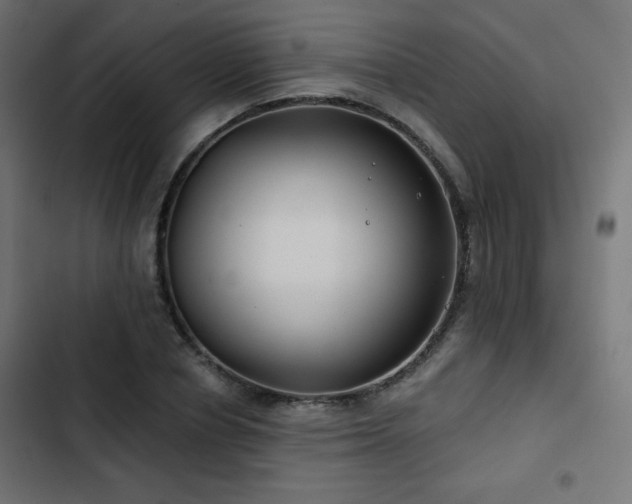 X0000103490834200809121713