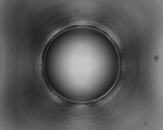 X0000103490837200809121713