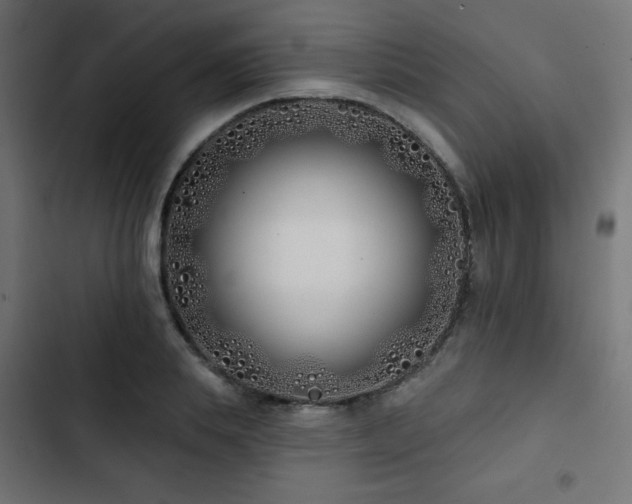 X0000103490839200809121713