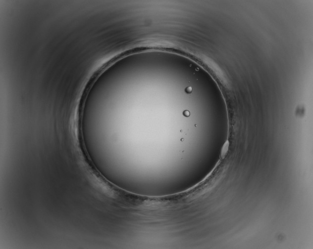 X0000103490840200809121713