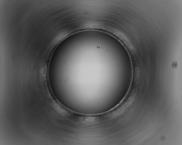 X0000103490841200809121713