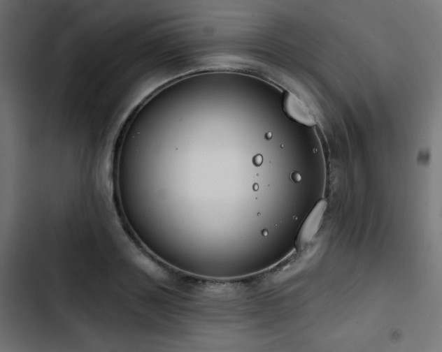 X0000103490843200809121713