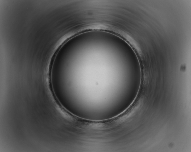 X0000103490845200809121713