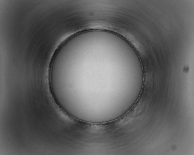 X0000103490848200809121713