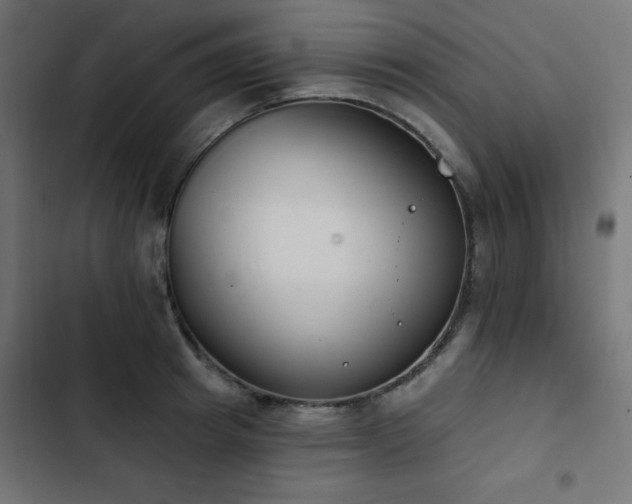 X0000103490849200809121713