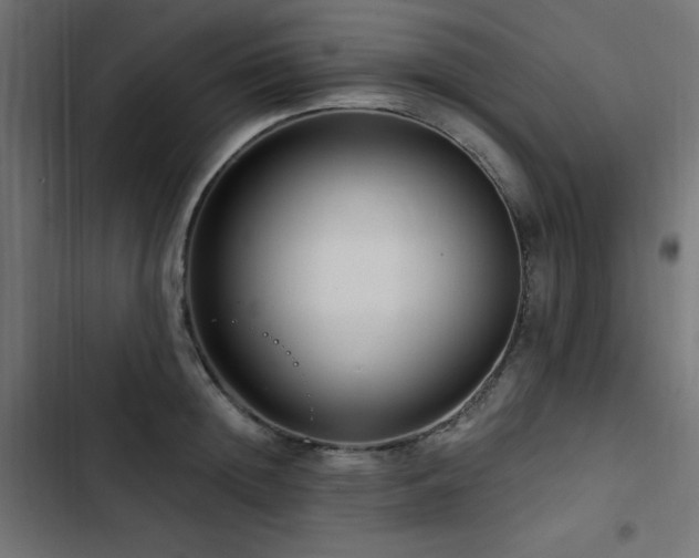 X0000103490852200809121713