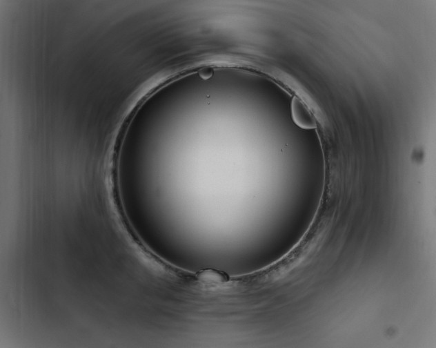 X0000103490853200809121713