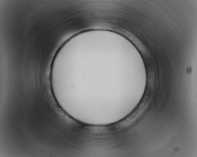 X0000103490856200809121713