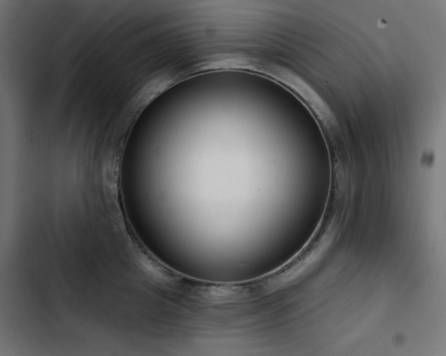 X0000103490857200809121713