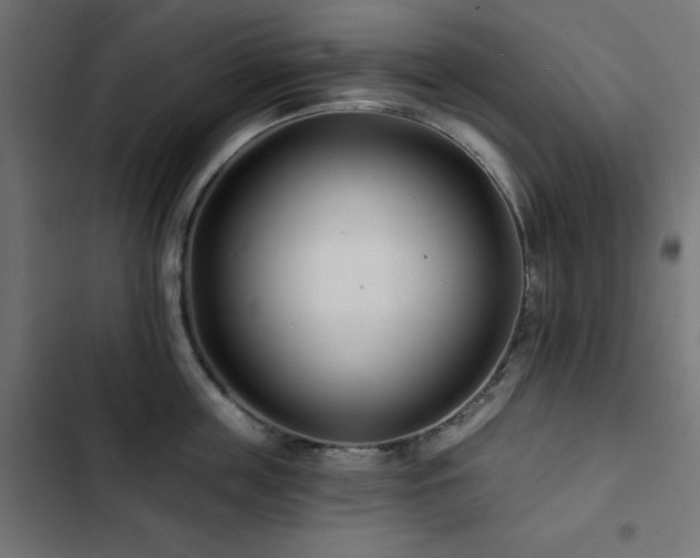 X0000103490859200809121713