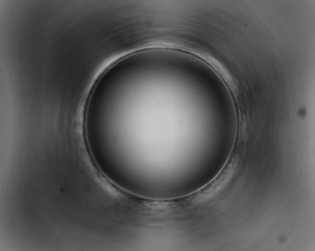 X0000103490862200809121713