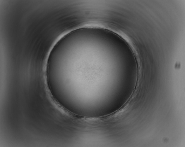 X0000103490864200809121713