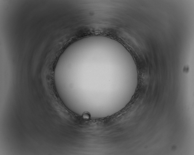 X0000103490865200809121712