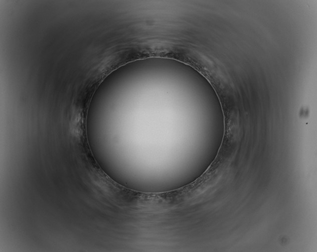 X0000103490866200809121712