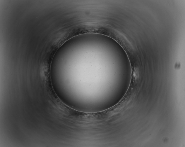 X0000103490867200809121712