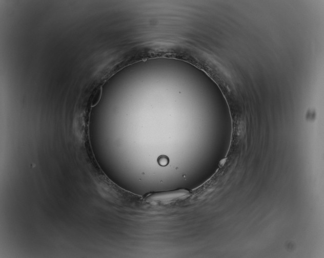 X0000103490868200809121712