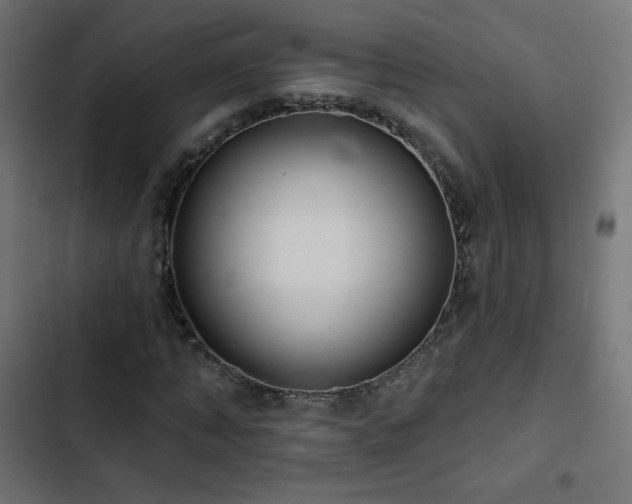 X0000103490870200809121712