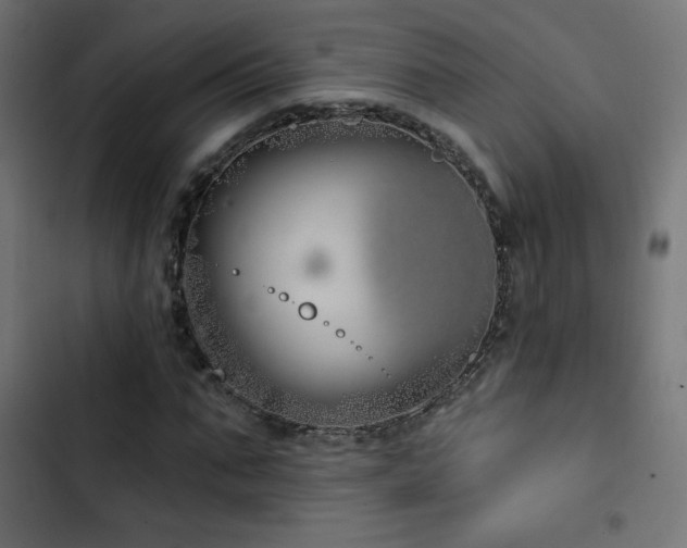 X0000103490871200809121712