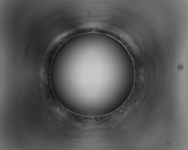 X0000103490872200809121712