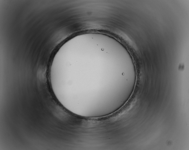 X0000103490873200809121712