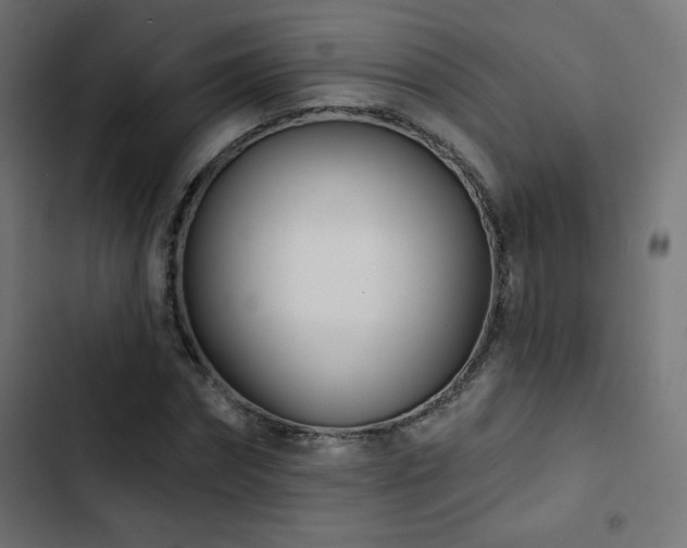 X0000103490874200809121712