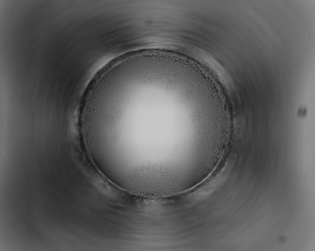 X0000103490875200809121712