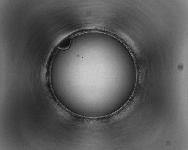 X0000103490876200809121712