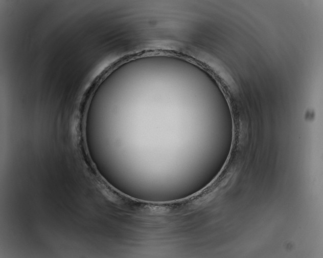 X0000103490878200809121712