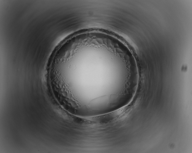 X0000103490879200809121712