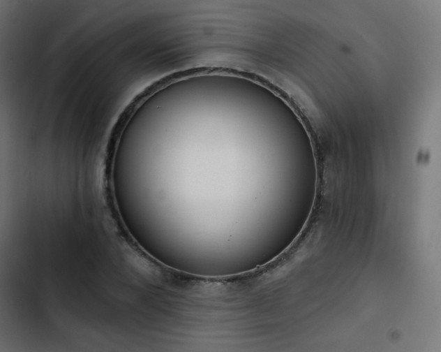 X0000103490880200809121712