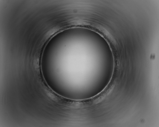 X0000103490881200809121712