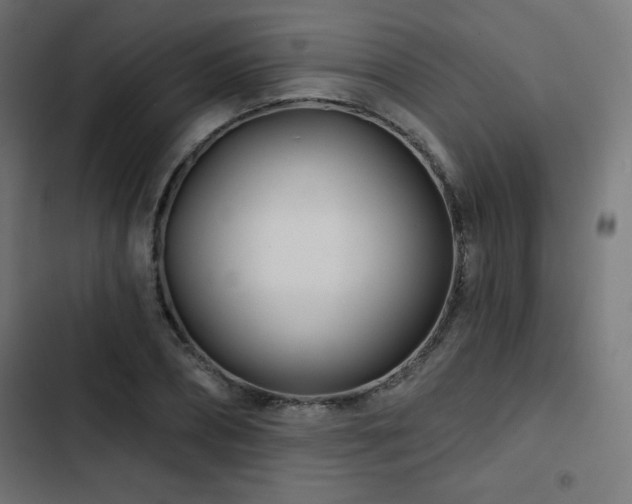 X0000103490882200809121712