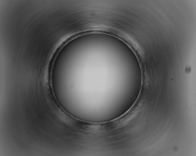 X0000103490883200809121712