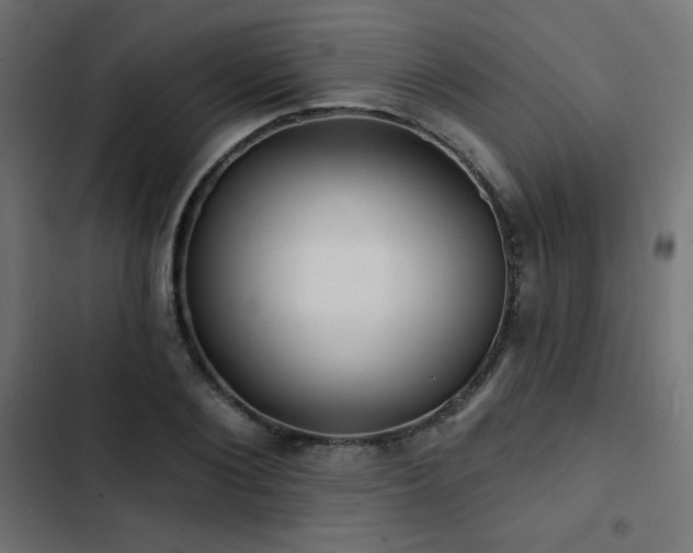 X0000103490884200809121712