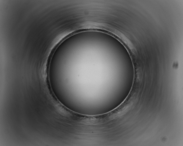 X0000103490885200809121712