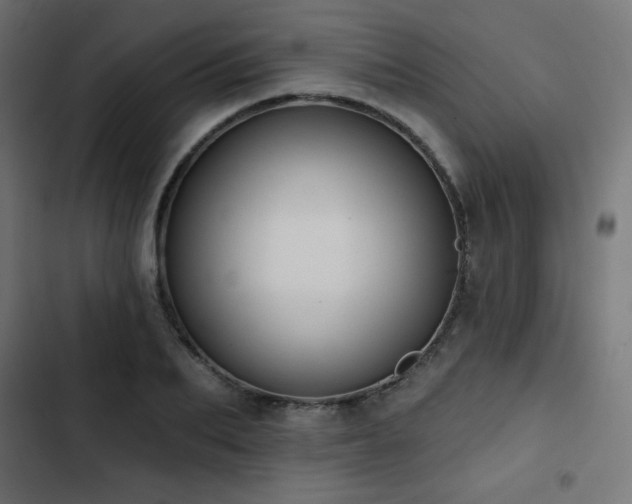 X0000103490887200809121712