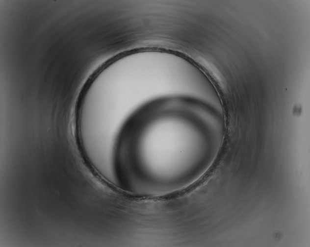 X0000103490888200809121712