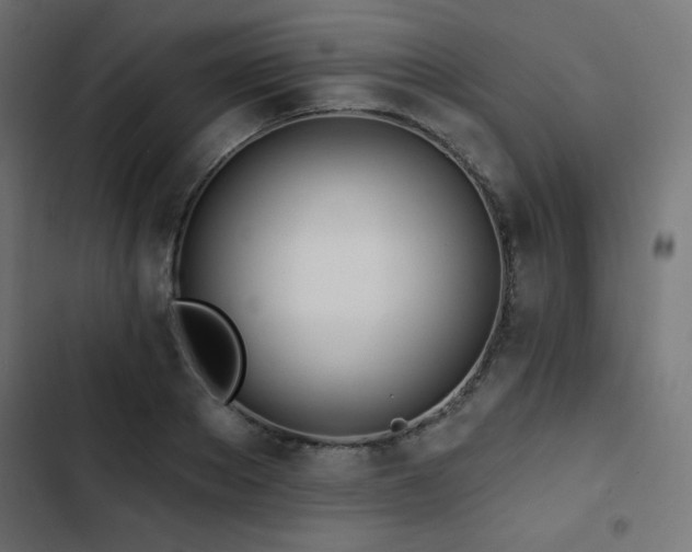 X0000103490889200809121712