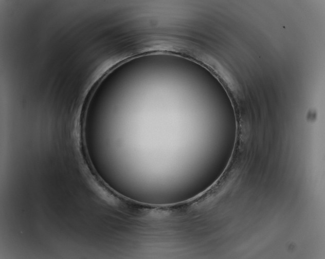 X0000103490890200809121712