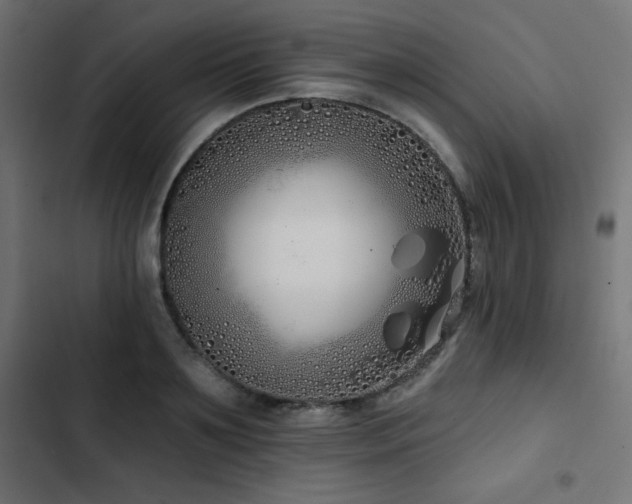 X0000103490891200809121712