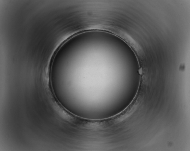 X0000103490892200809121712