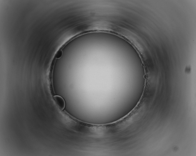 X0000103490893200809121712