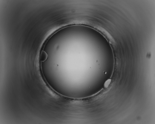 X0000103490894200809121712