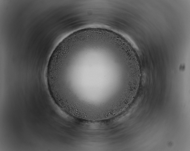 X0000103490895200809121712