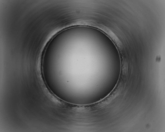 X0000103490896200809121712