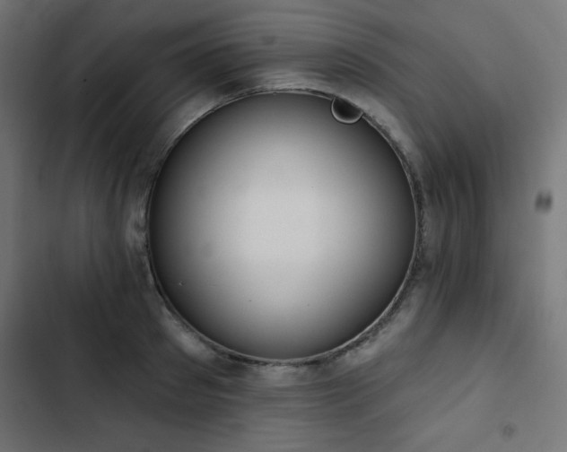 X0000103490897200809121712