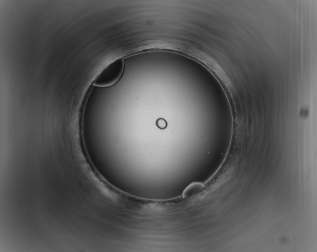 X0000103490898200809121712