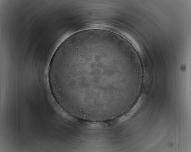 X0000103490899200809121712