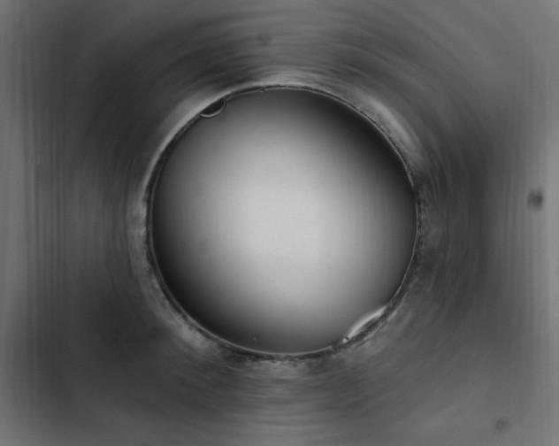 X0000103490900200809121712