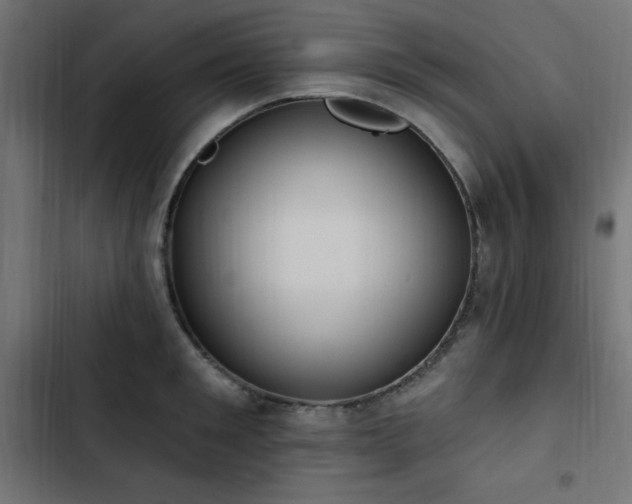 X0000103490901200809121712